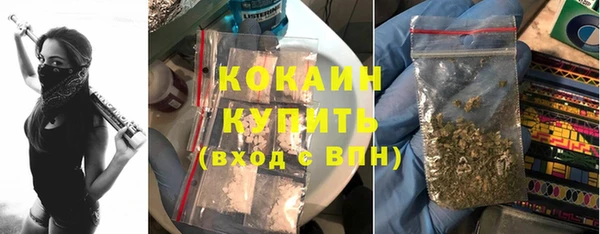 шишки Абдулино