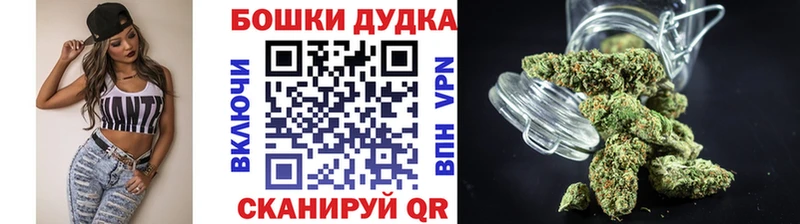 купить сайты Артём Канабис конопля